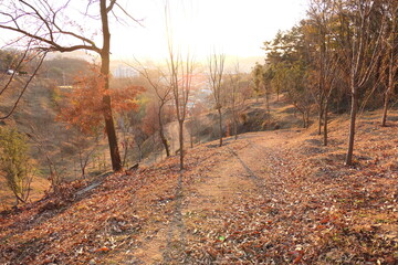 A park along the Jinju River