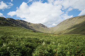 Views over the Lake District, on hills between Windermere and Ambleside.