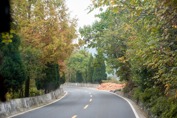 Street view local visitor and tourist Wudang shan Mountains.
