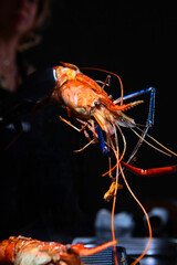 The chef is grilling giant freshwater shrimp. Grilled shrimp in the hands of the cook. Photo on a black background. Cooking concept.