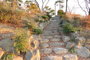 A park along the Jinju River