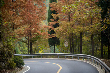 Street view local visitor and tourist Wudang shan Mountains.
