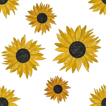 Hand drawing painted sunflowers seamless pattern on white background. Utensil, cutlery, kitchen, packaging, tableware, cloth, wallpaper, textile design