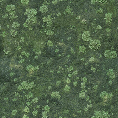 Mossy moss bitmap texture (for landscape designers)