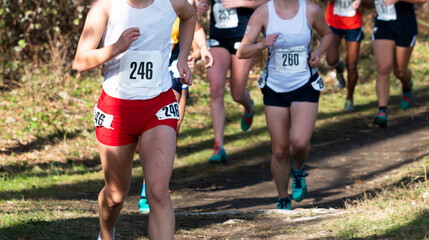 Cross country runners racing 5K on trail in the woods