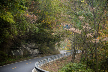 Street view local visitor and tourist Wudang shan Mountains.