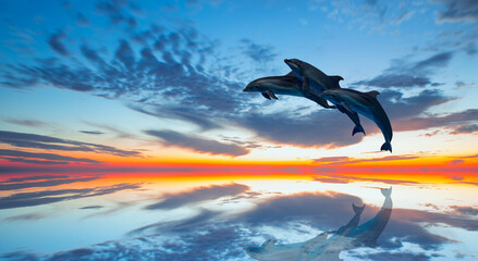 Group of dolphins jumping on the sea wave at sunset 