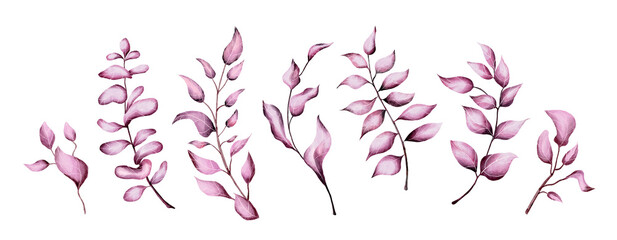 Set of pink watercolor leaves. Vector