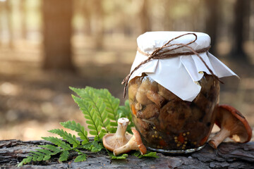 Fresh and pickled mushrooms in forest, closeup