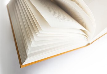 Macro view defocused against open book. Slight focus on left side pages and background copy space on right.