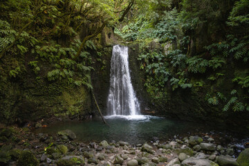 Naklejka na ściany i meble Salto do Prego, Waterfall in a forest in Sao Miguel Island, Azores