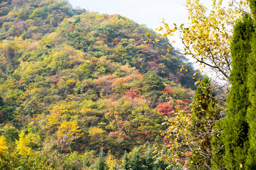 Amazing autumn landscape at Wudang Mountain.