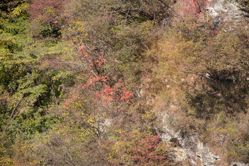 Street view local visitor and tourist Wudang shan Mountains.
