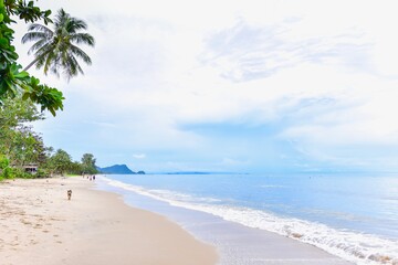 Coconut Tree and Sandy Beach in Khanom District, Nakhon Si Thammarat, Thailand