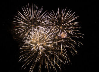 Obraz premium Fireworks 1