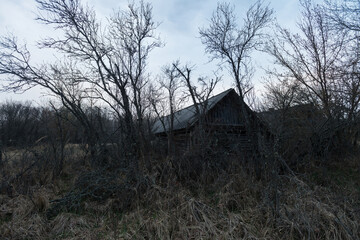 House in abandoned village of Chernobyl zone