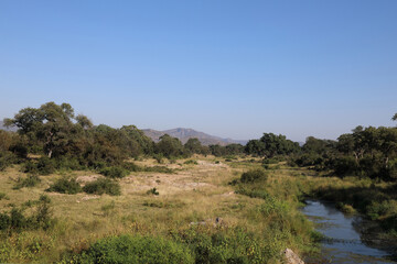 Krüger Park - Afrikanischer Busch - Matjulu River / Kruger Park - African bush - Matjulu River /