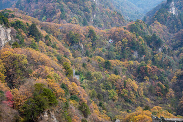 Street view local visitor and tourist Wudang shan Mountains.