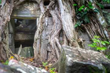 Angkor Wat is the largest temple in the world (Cambodia, 2019). It is raining