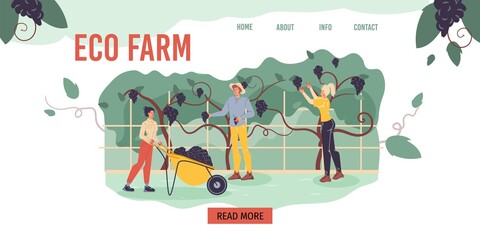 Fototapeta premium Cartoon flat characters harvesting on the farm - ecological,organic,agriculture concept for web online,site design