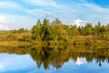 Trees are reflected in the water on the bank of a calm river