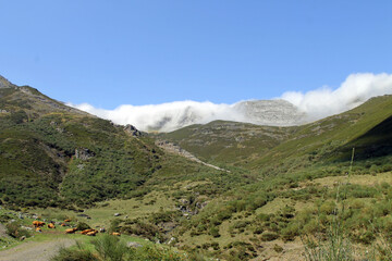 Low clouds penetrate the tops of the Cantabrian Mountains late in the day in summer, northern Spain