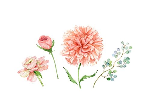 set of watercolor illustrations with delicate pink flowers, hand painted