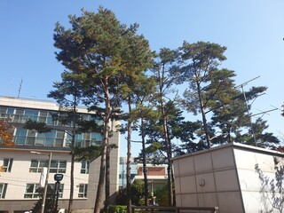 building in the city