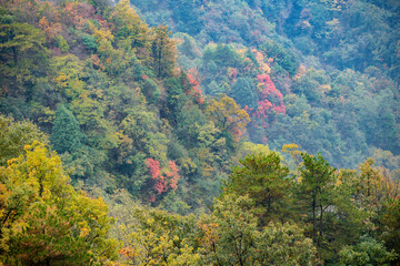 Beautiful landscape of Wudang Mountain. in Wudang Mountain