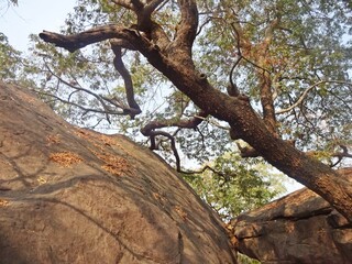 Rock Shelters of Bhimbetka ,UNESCO World Heritage site,bhopal,madhya pradesh,india