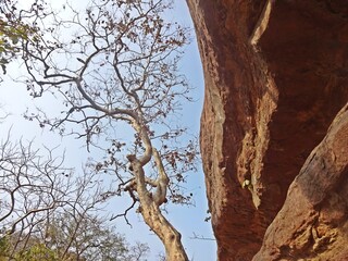 Rock Shelters of Bhimbetka ,UNESCO World Heritage site,bhopal,madhya pradesh,india