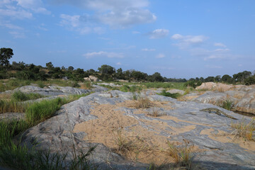 Biyamiti River und Nilkrokodil / Biyamiti River and Nile Crocodile / Crocodylus Niloticus
