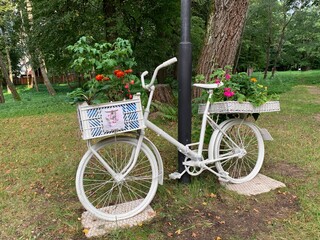 Fototapeta premium decorative white Bicycle with red flowers