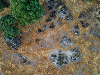 Landscape in Dehesa de la luz. the graves are archaeological remains of IV century AD approximately.