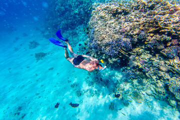 Underwater shooting men snorkeling and diving in tropical sea. Snorkeler diving along the brain coral - obrazy, fototapety, plakaty