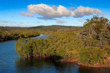 Wanggoolba creek on Fraser Island, Australia