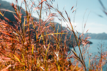Lago de Atitl&aacute;n, Panajachel, Solol&aacute;