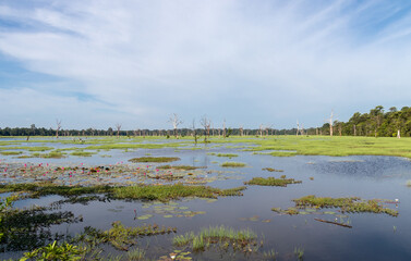 Lac à Angkor, Cambodge