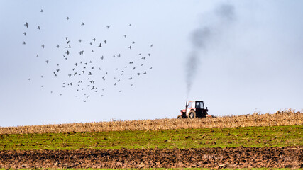 Farmer spraying field with tractor.