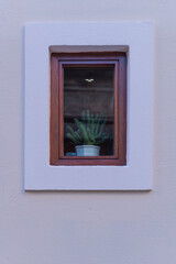 Fototapeta na wymiar windows framing a cactus