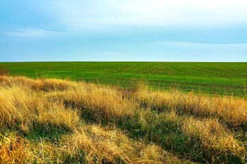 
field, sky, grass, landscape, green, meadow, nature, blue, summer, agriculture, cloud, wheat, spring, hill, horizon, farm, countryside, sun, land, day, clear, beautiful, tree,