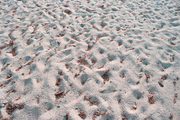Dirty grainy sand texture