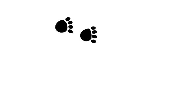 Footprints of a dog, bear or some big animal. Black footprints on white background, hand drawn cartoon animation.