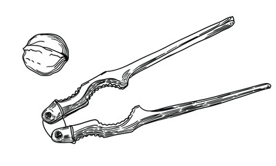 Nutcracker and walnut. Vector linear drawing.
