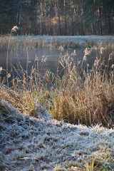 Frosty lake landscape during beautiful sunny winter day.