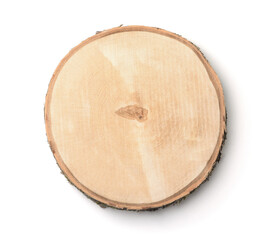 Top view of birch tree trunk cross section