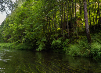 In a deep forest stands a house on the high bank of the river.