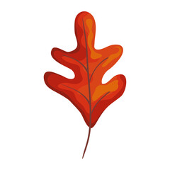 autumn season orange leaf plant nature icon vector illustration design