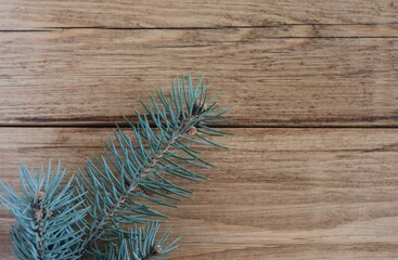 A spruce branch lies on a brown wooden surface.