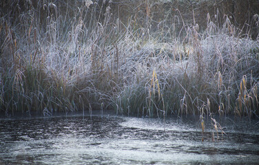 Frosty lake landscape during beautiful sunny winter day.